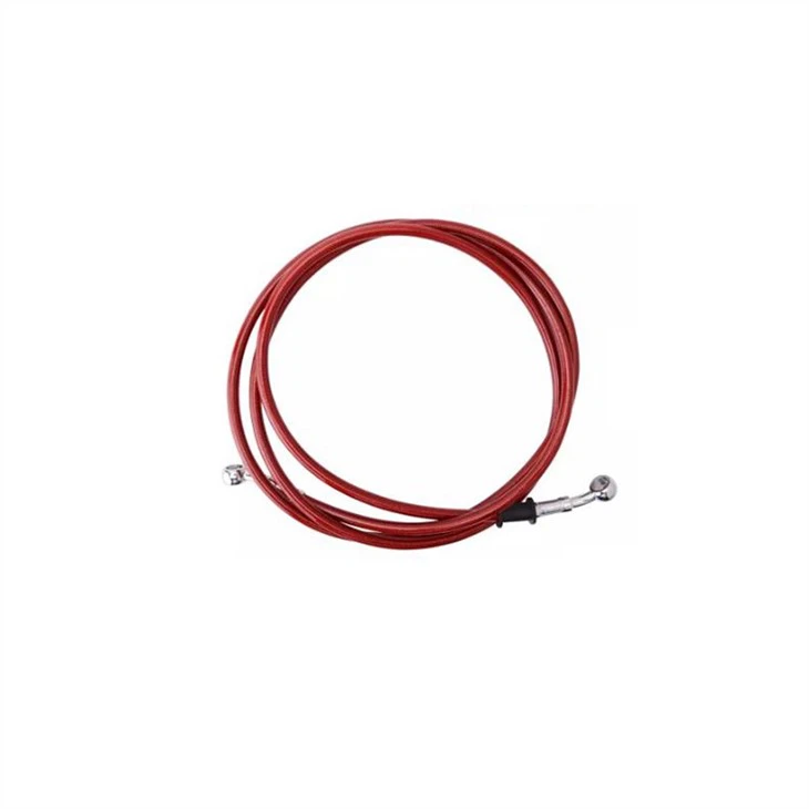 ptfe brake hose-1